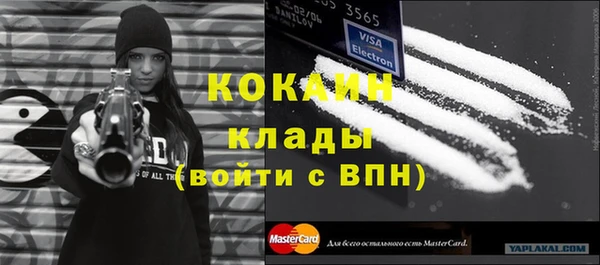 крисы Алексин