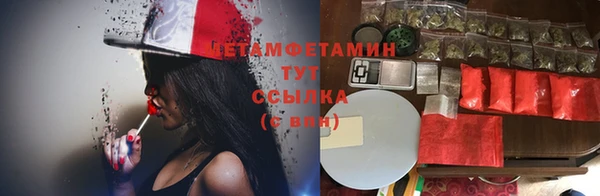 дмт Алзамай