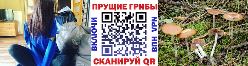 Галлюциногенные грибы мухоморы Купить где Белгород